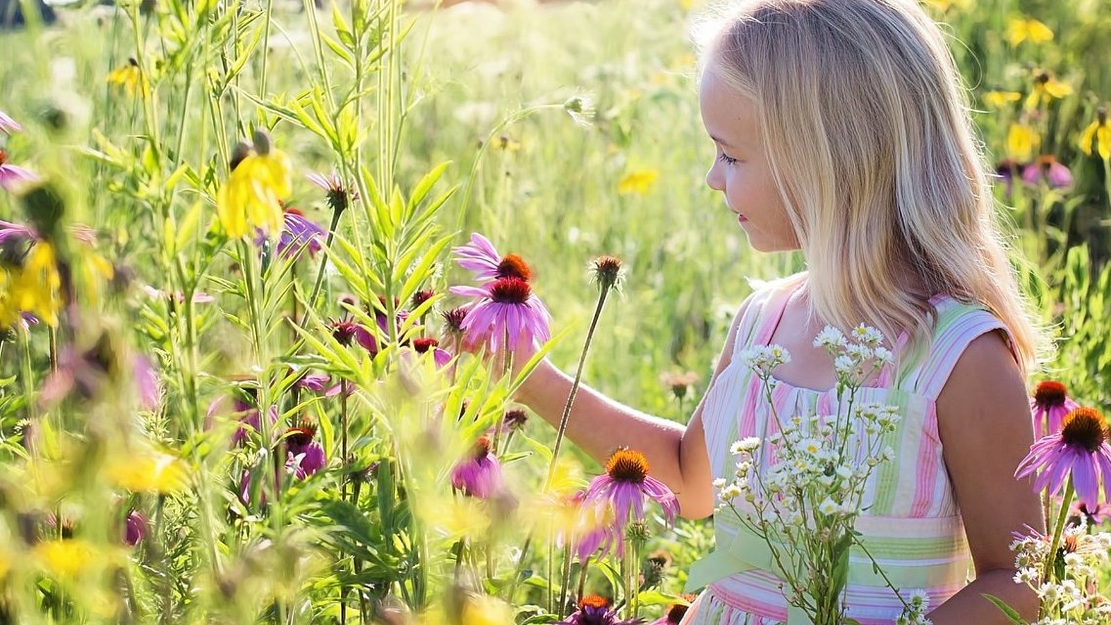Ein kleines Mädchen steht in einem sommerlichen Blumenfeld. 