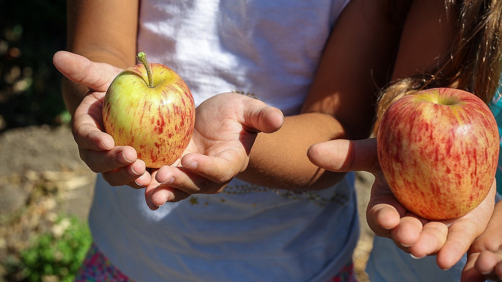 Zwei Kinder halten jeweils einen Apfel auf ihrer Hand.