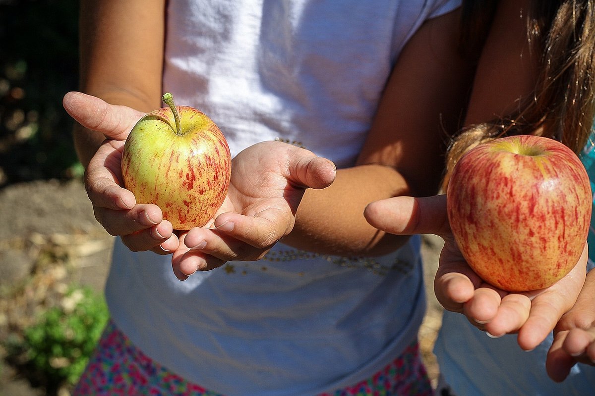 Zwei Kinder halten jeweils einen Apfel auf ihrer Hand.