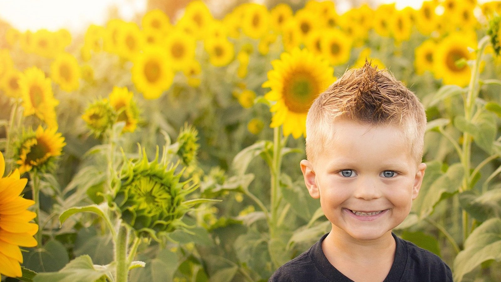 Ein kleiner Junge steht vor einem Feld mit blühenden Sonnenblumen, im Hintergrund das Licht des Sonnenuntergangs. Der Junge hat blonde Stoppelhaare und lächelt. 