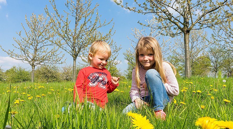 Ein kleiner Junge und ein etwas älteres Mädchen sitzen auf einer grünen Frühlingswiese.
