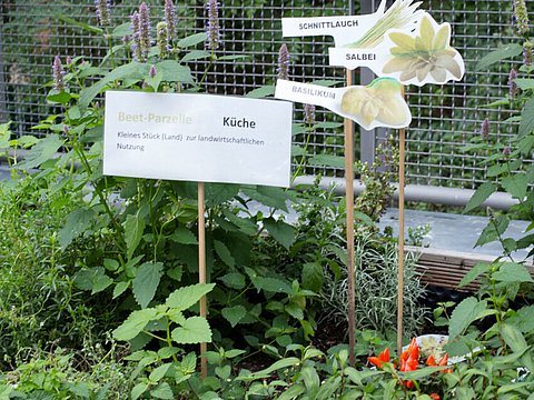 Ein Kräuter-Garten mit Schildern zur Erklärung