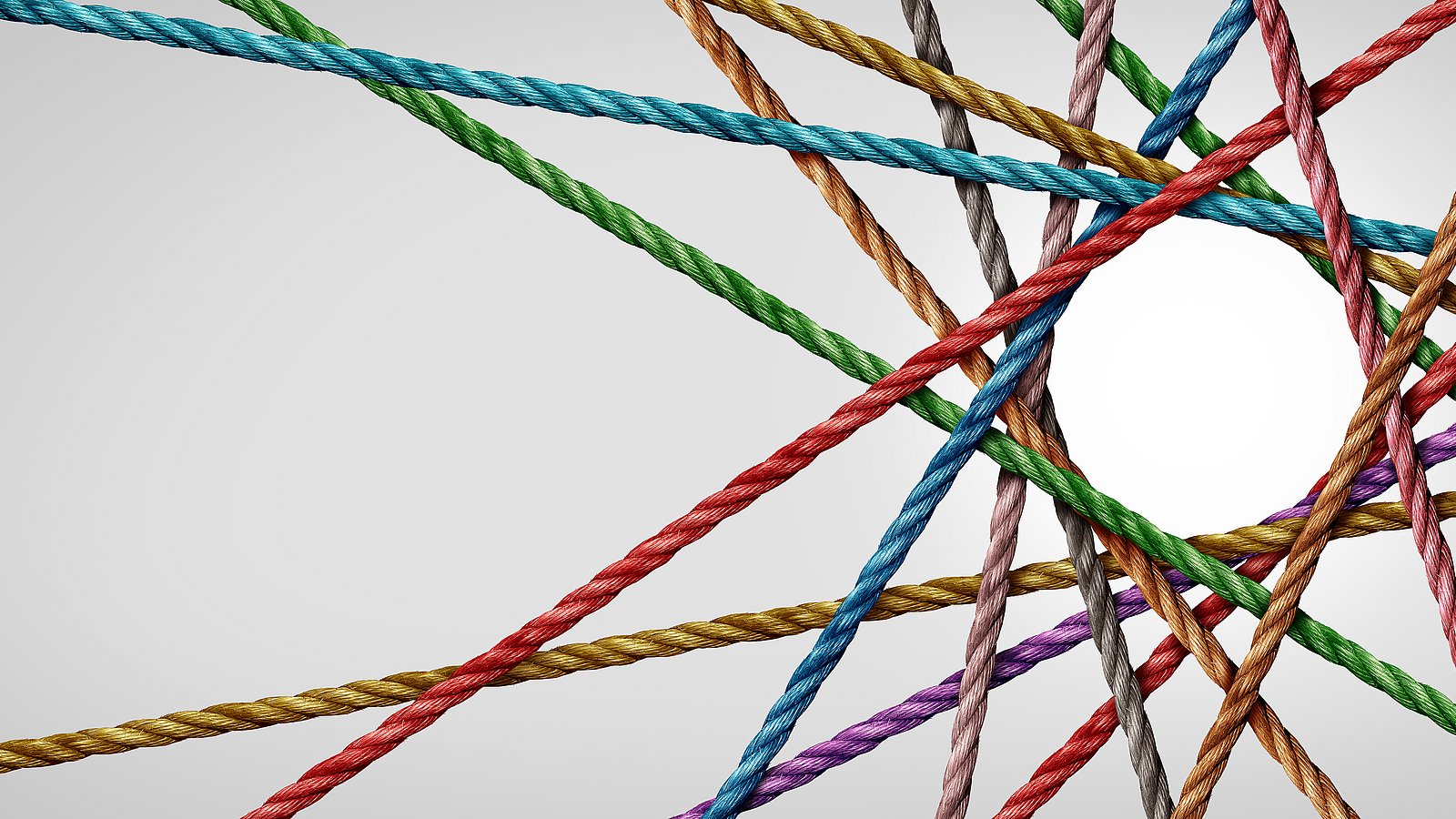 Bild zeigt gebundenes Netzwerk aus Seilen
