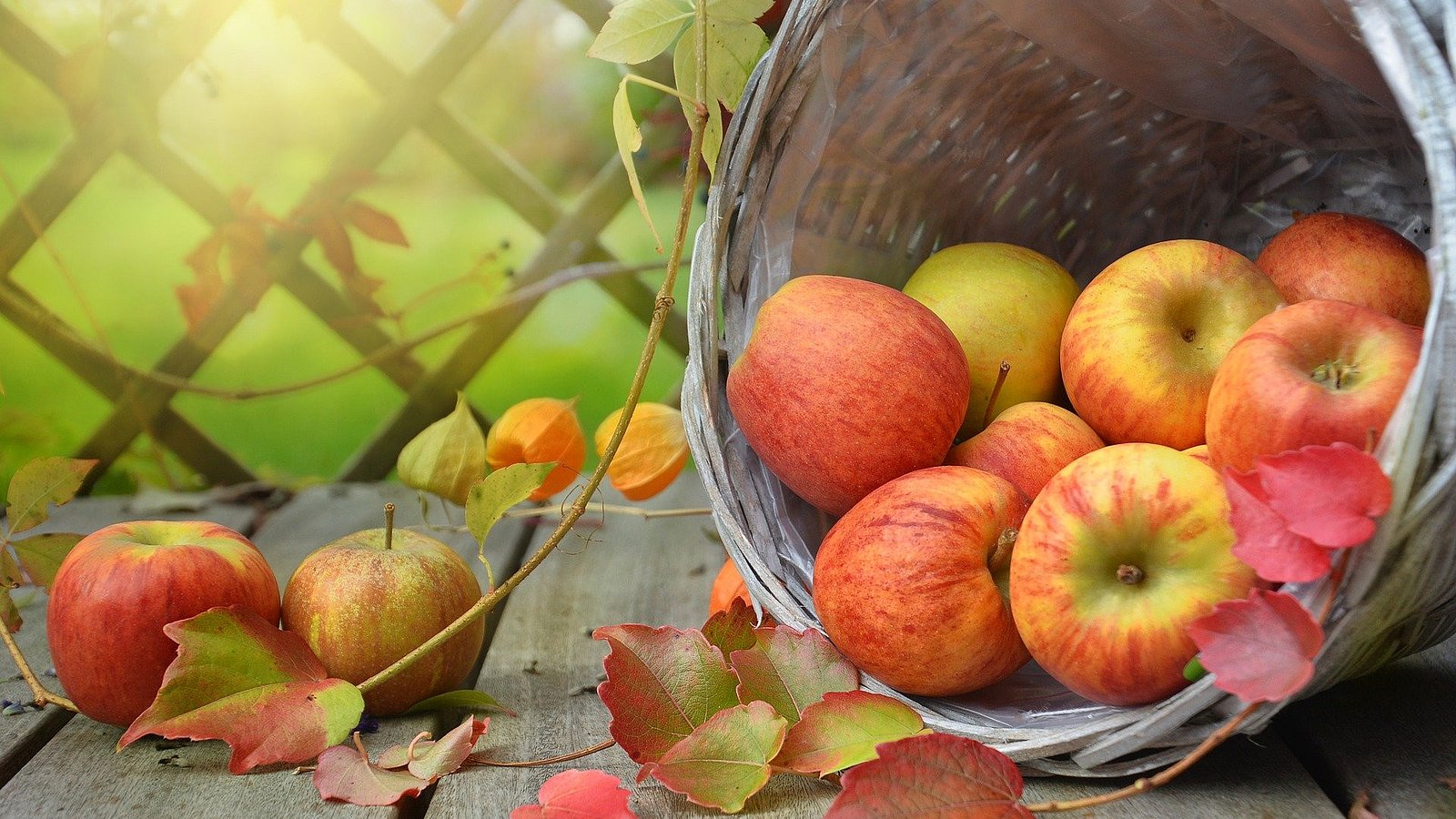 Apfelkorb mit Herbststimmung