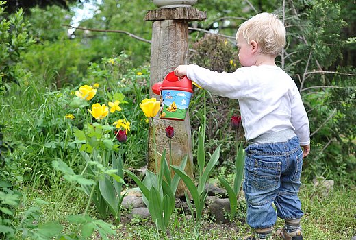 Kleinkind gießt Blumen 