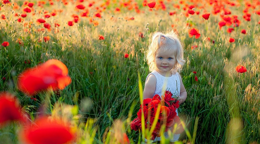 Ein kleines blondes Mädchen im weißen Sommerkleid steht am Rand eines Getreidesfeldes, in dem viele rote Mohnblumen wachsen..