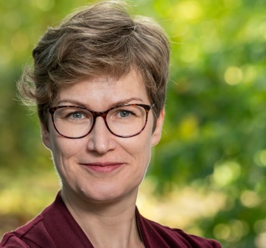 Claudia Ullrich-Runge, Deutsches Jugendinstitut