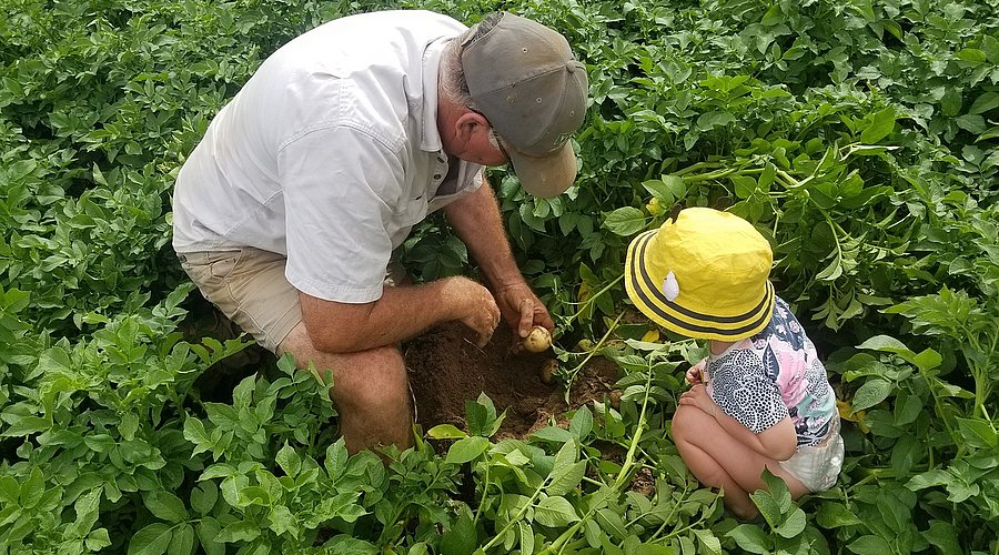 Ein Landwirt sitzt mit einem Kleinkind in der Hocke in einem Kartoffelfeld. Der Mann zeigt dem Kind eine frisch geerntete Kartoffel. Beide haben Mützen auf. 