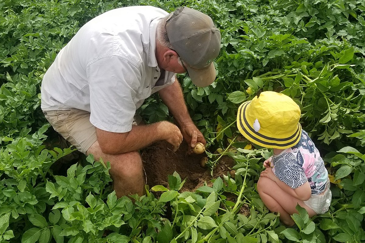 Ein Landwirt sitzt mit einem Kleinkind in der Hocke in einem Kartoffelfeld. Der Mann zeigt dem Kind eine frisch geerntete Kartoffel. Beide haben Mützen auf. 