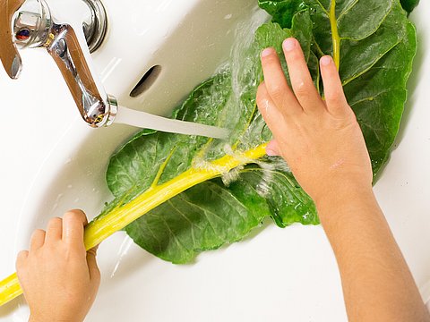 Kind wäscht Salatblatt im Waschbecken