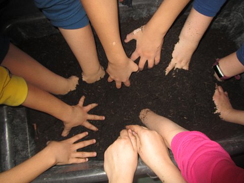 Viele Kinderhände wühlen in einem großen Topf mit Pflanzerde.