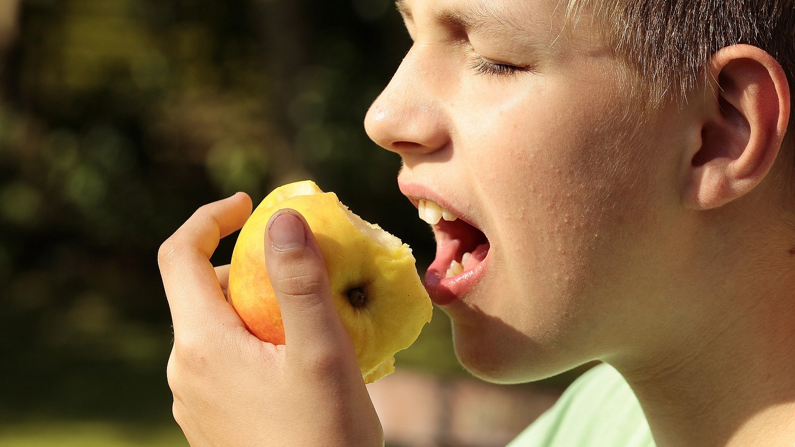 Ein jugendlicher blonder und kurzhaariger Junge beißt herzhaft in einen Apfel. 