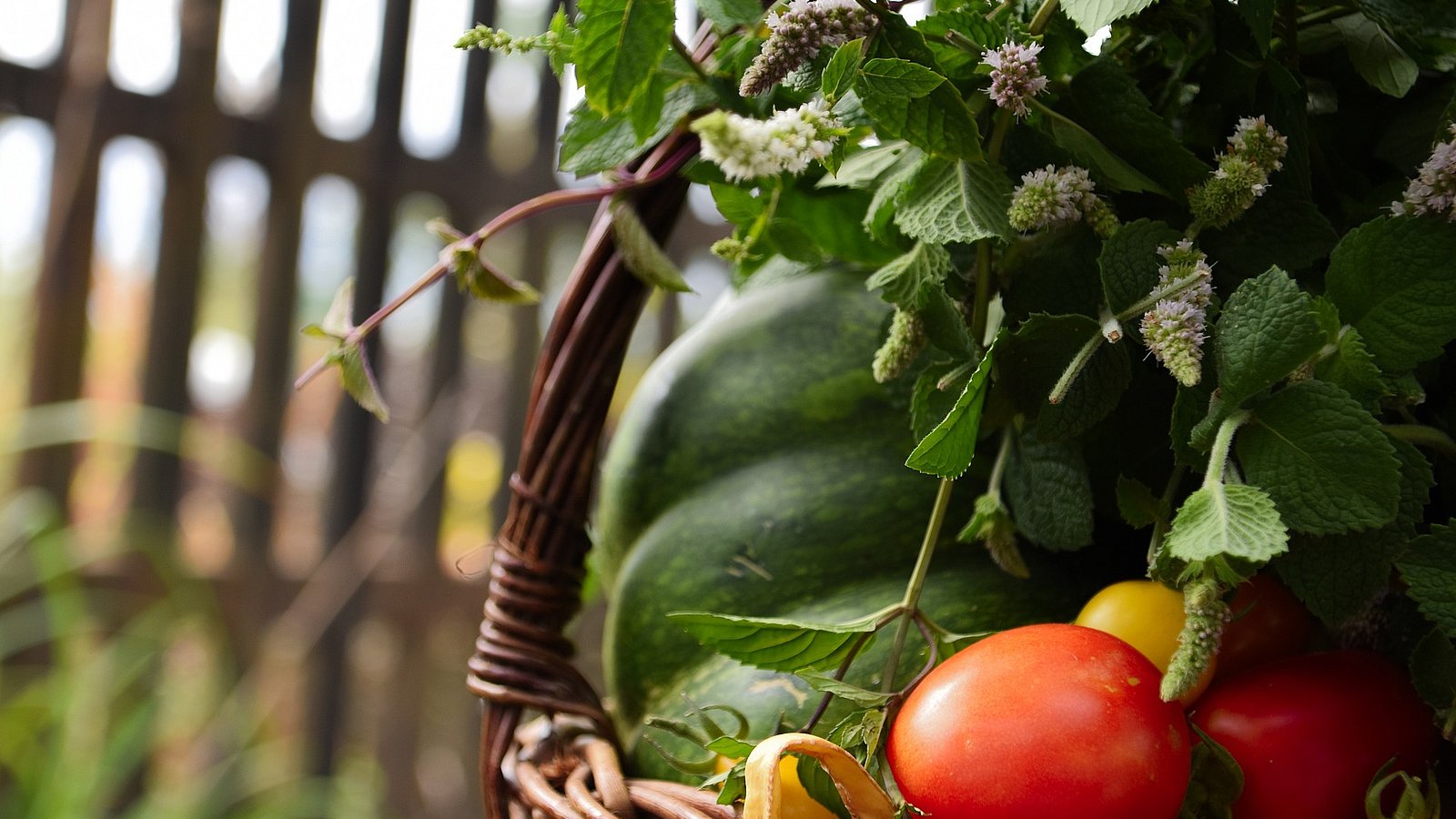 Foto zeigt Obst- und Gemüsekorb auf eine Wiese, im Hintergrund ist ein hölzener Gartenzaun zu sehen. 