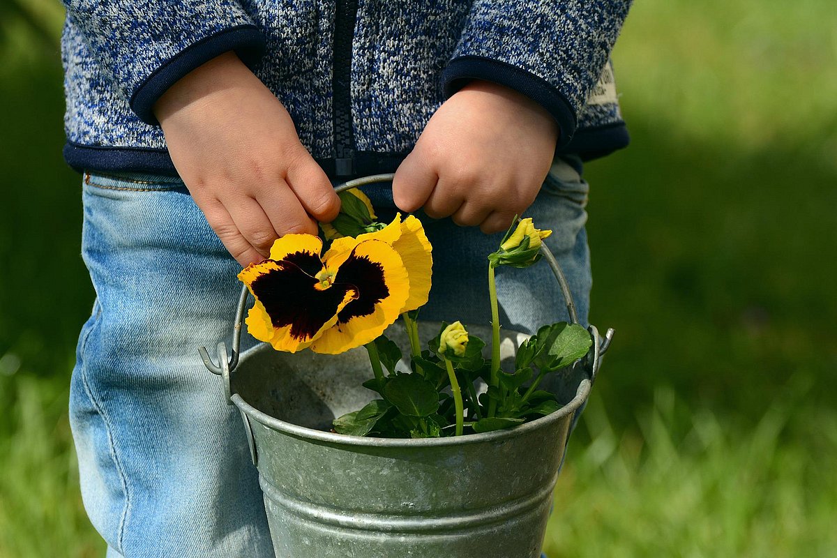 Kind hält einen Blecheimer mit einer Blume in der Hand. 