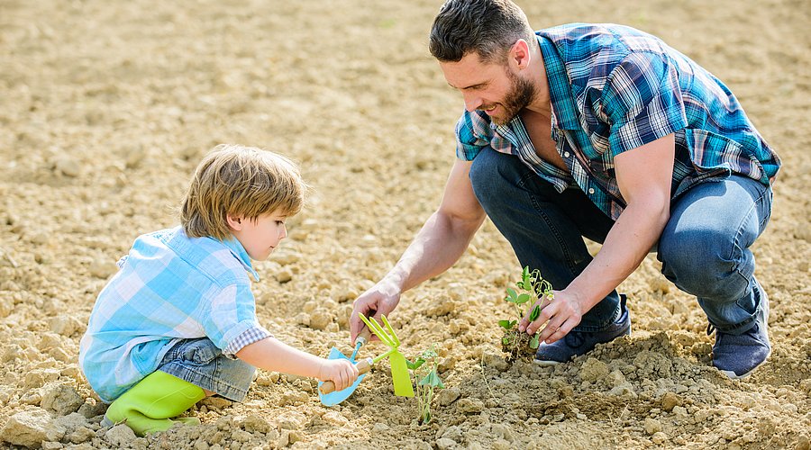 Kind und Mann setzen gemeinsam Pflanzen in die Erde. 