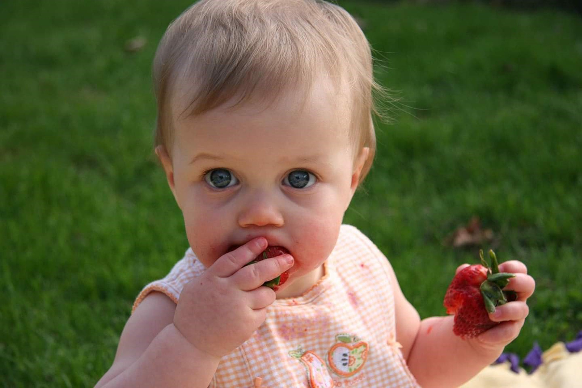 Ein Baby sitzt auf dem Rasen und isst mit beiden Händen eine Erdbeere.